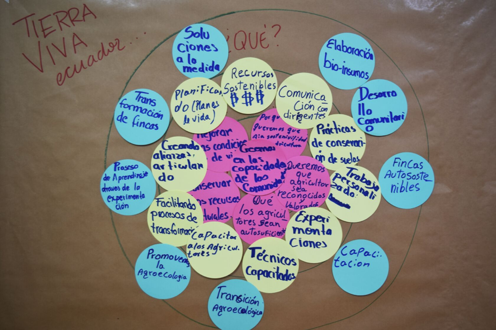 An excerpt of the participatory process the team used to articulate the core program areas for Tierra Viva