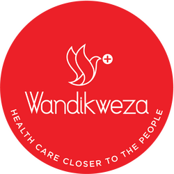 Wandikweza Logo 02